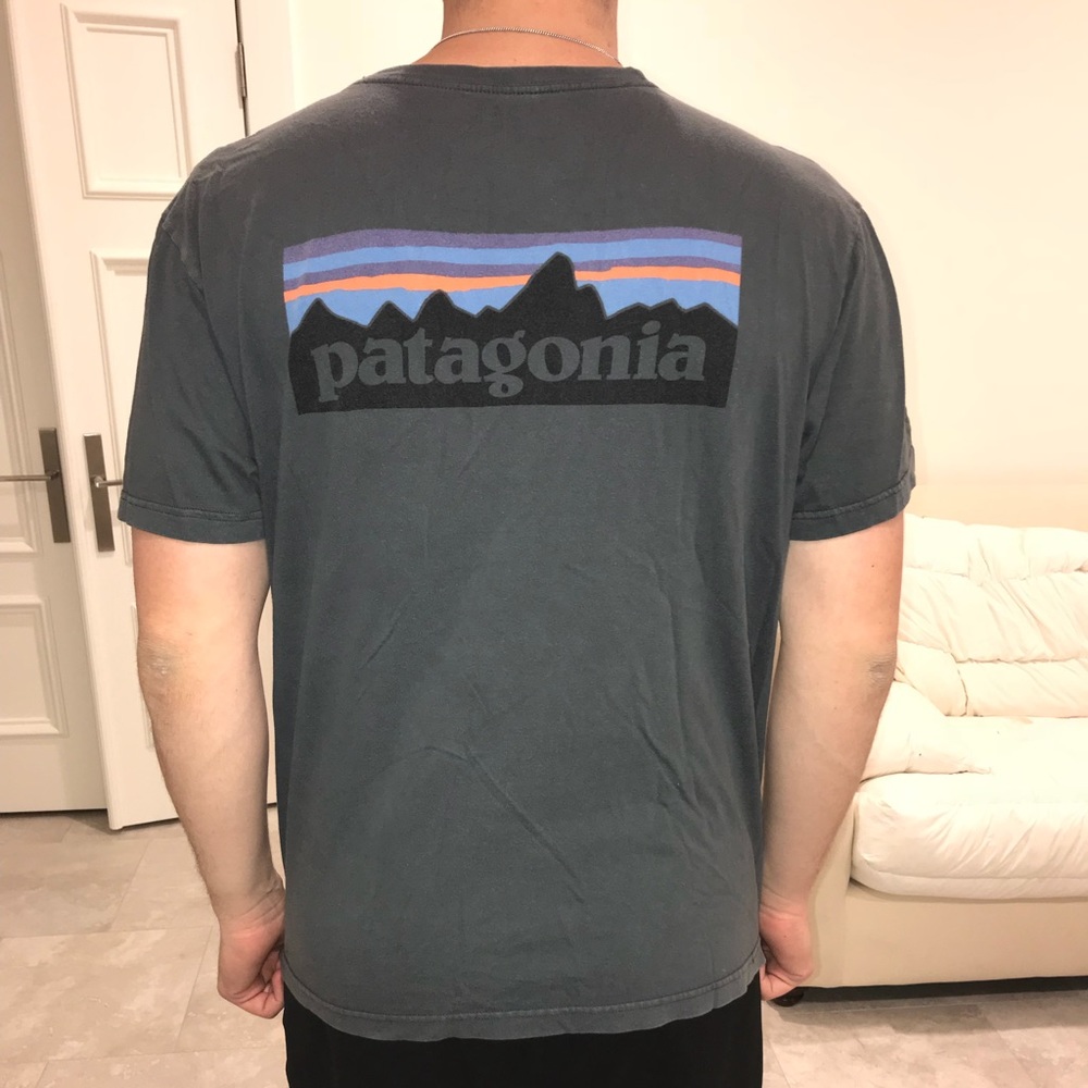 Men’s Patagonia tee shirt, gray